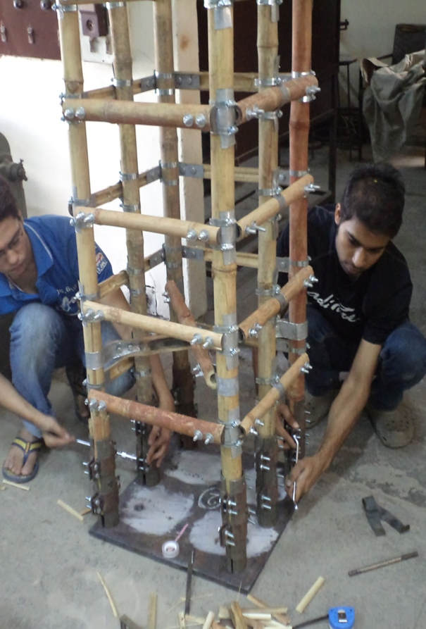 The Green Future of India Isn't from Abroad